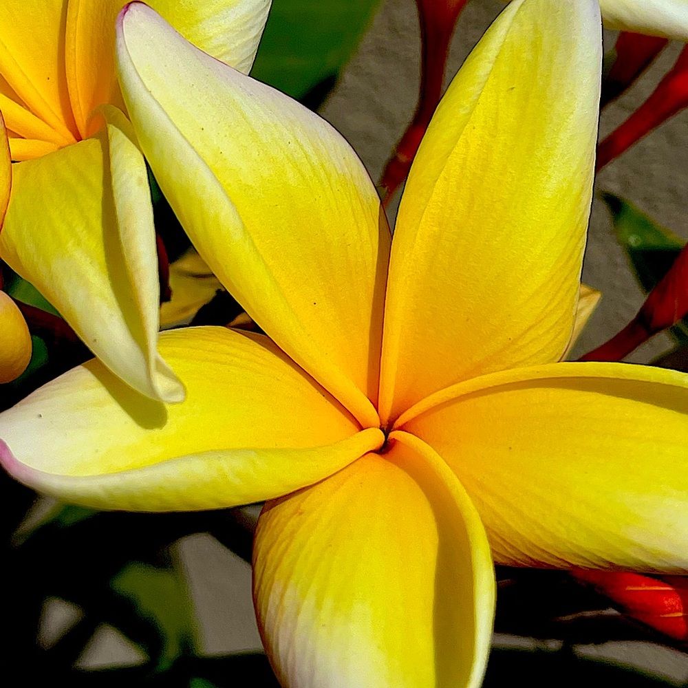 BUNDLE AND GET ITEMS FREE!